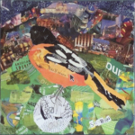 Play Ball, Oriole and baseball torn paper collage by Sharon Krulak